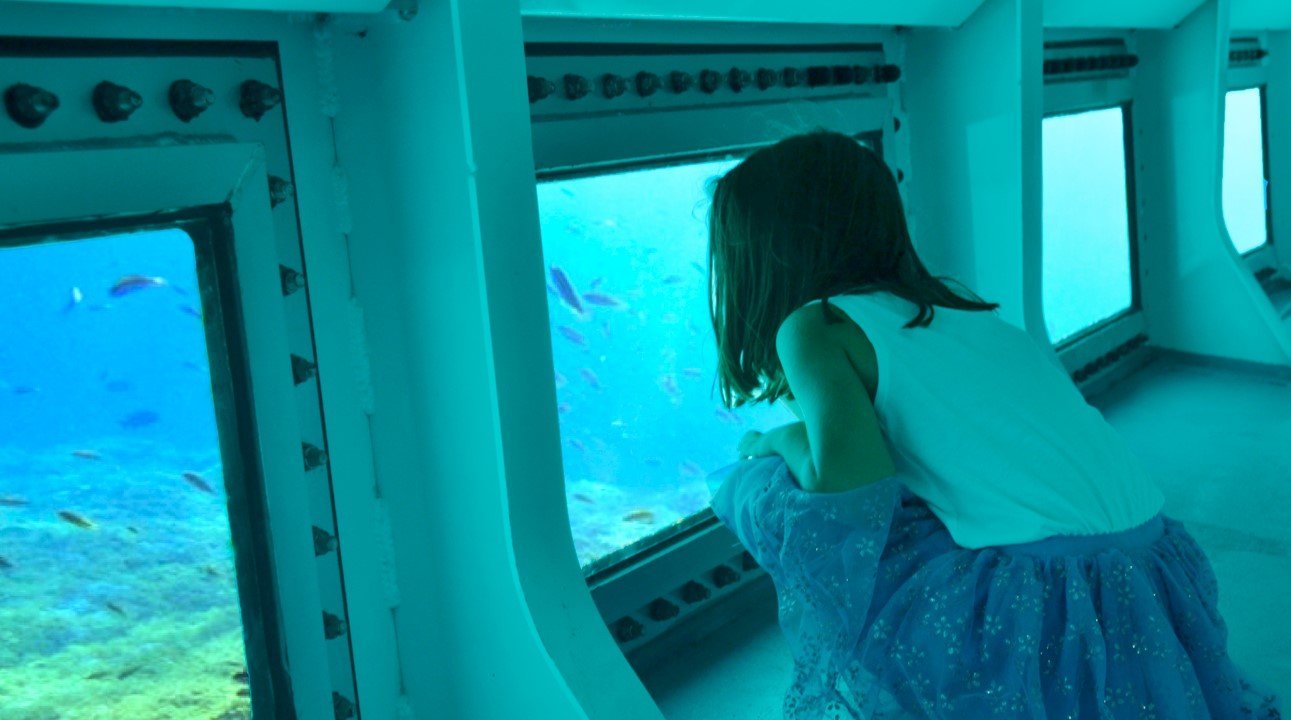 child is looking fishes