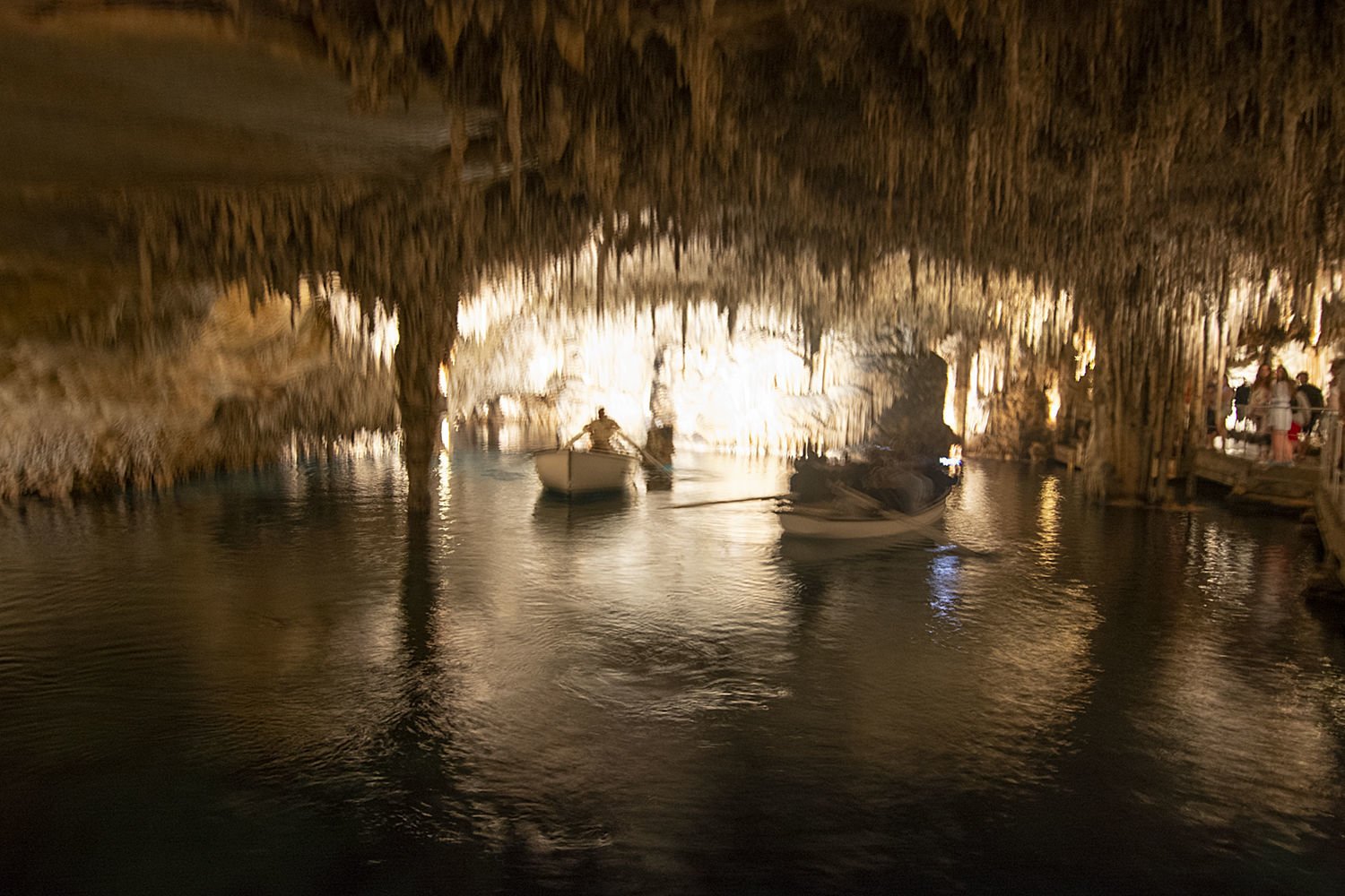 private excusions for cruise clients