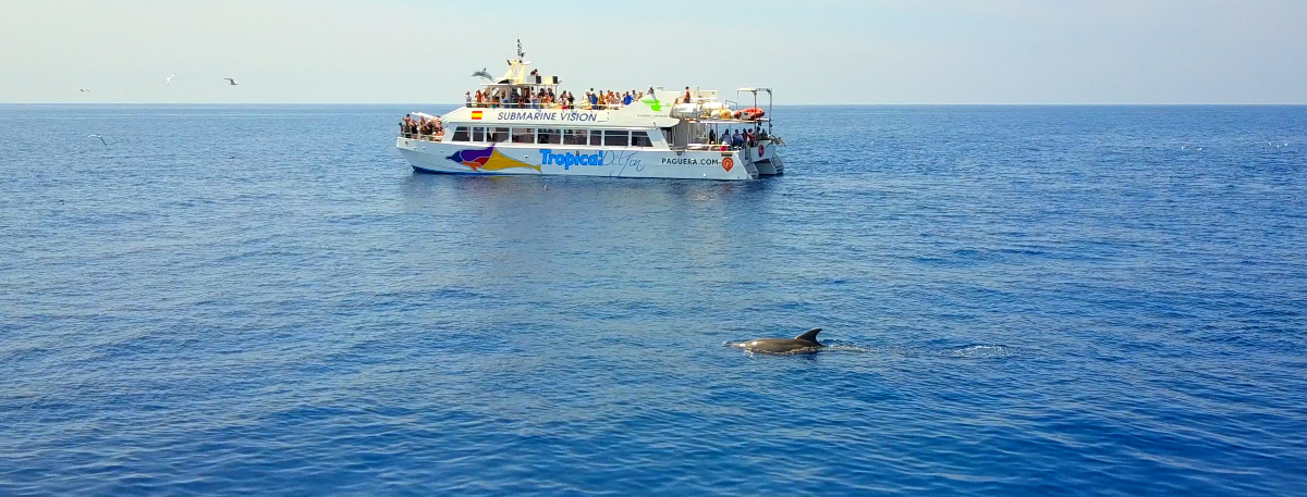 boat trip from santa ponsa