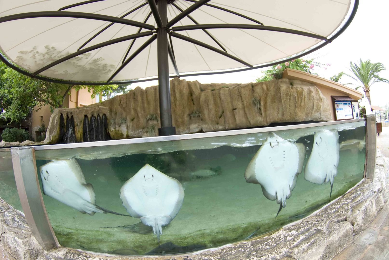 aquarium in marineland