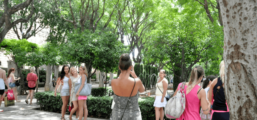 clients with an official guide