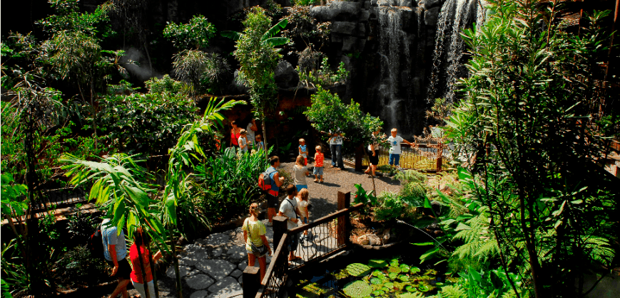 palma aquarium half day