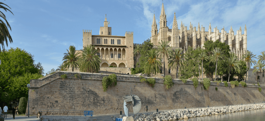 visit palma aquarium with cathedral