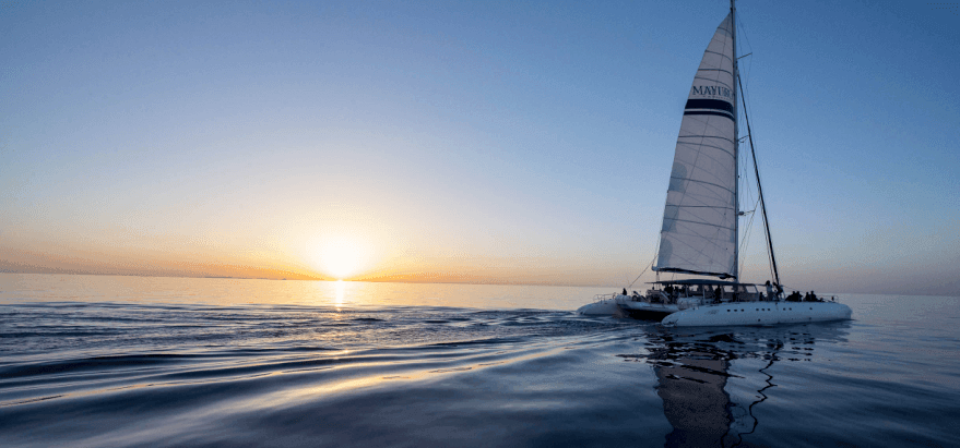 Sunrise and dolphins