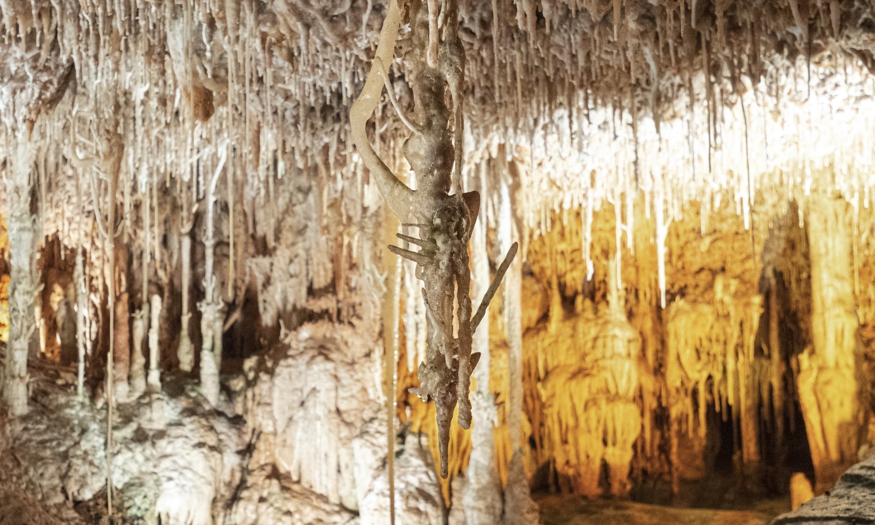 exit from the caves