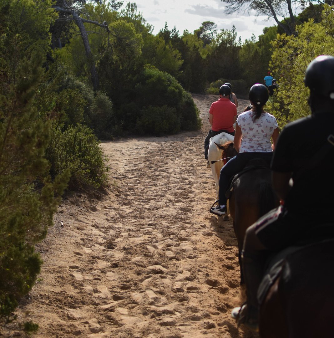 guided horse ride tour in alcudia