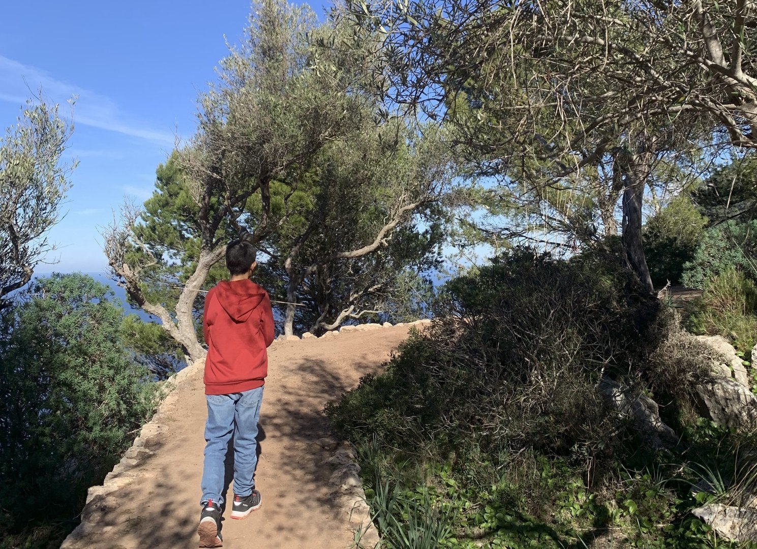 organised hike in mallorca