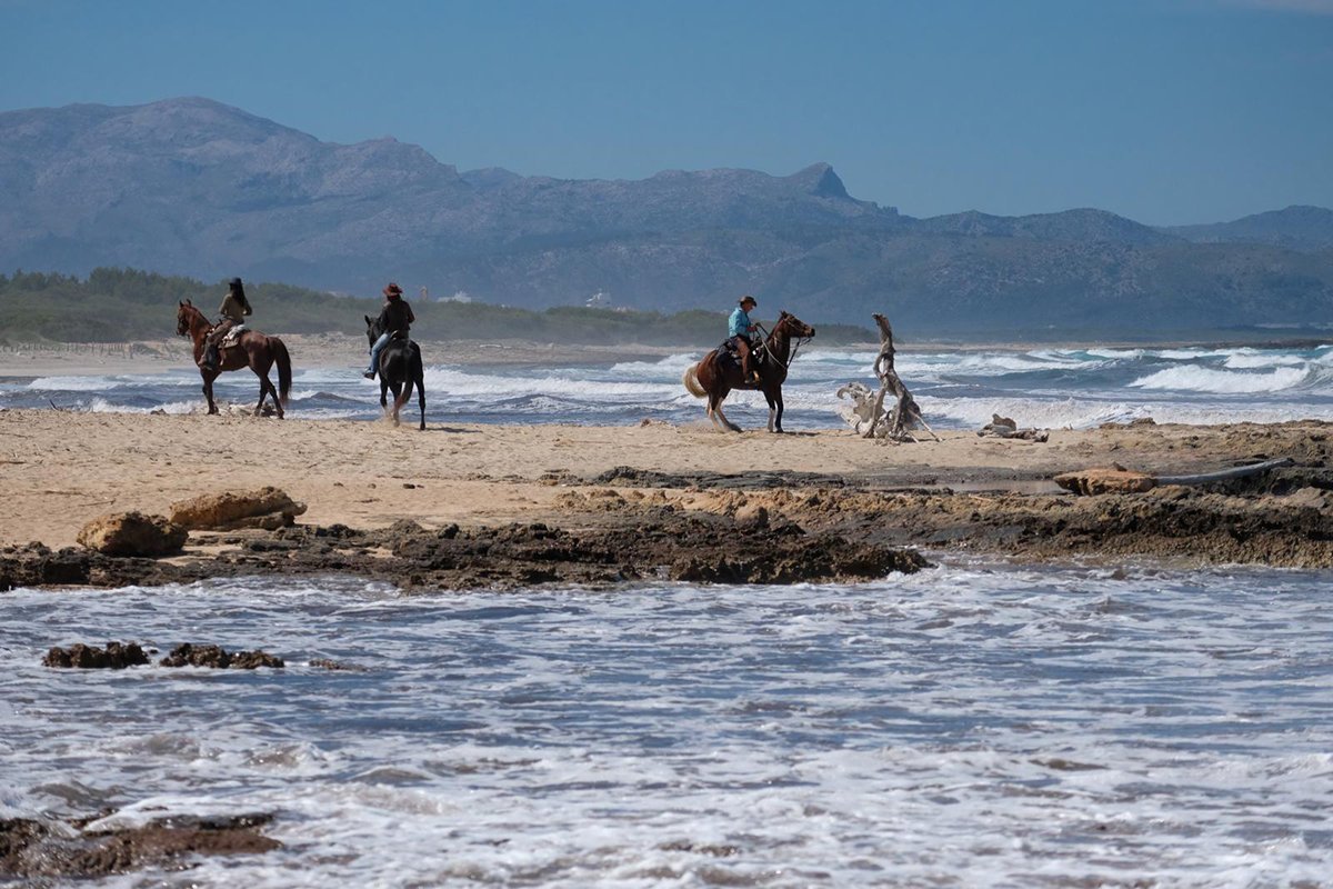 horse riding on the beach