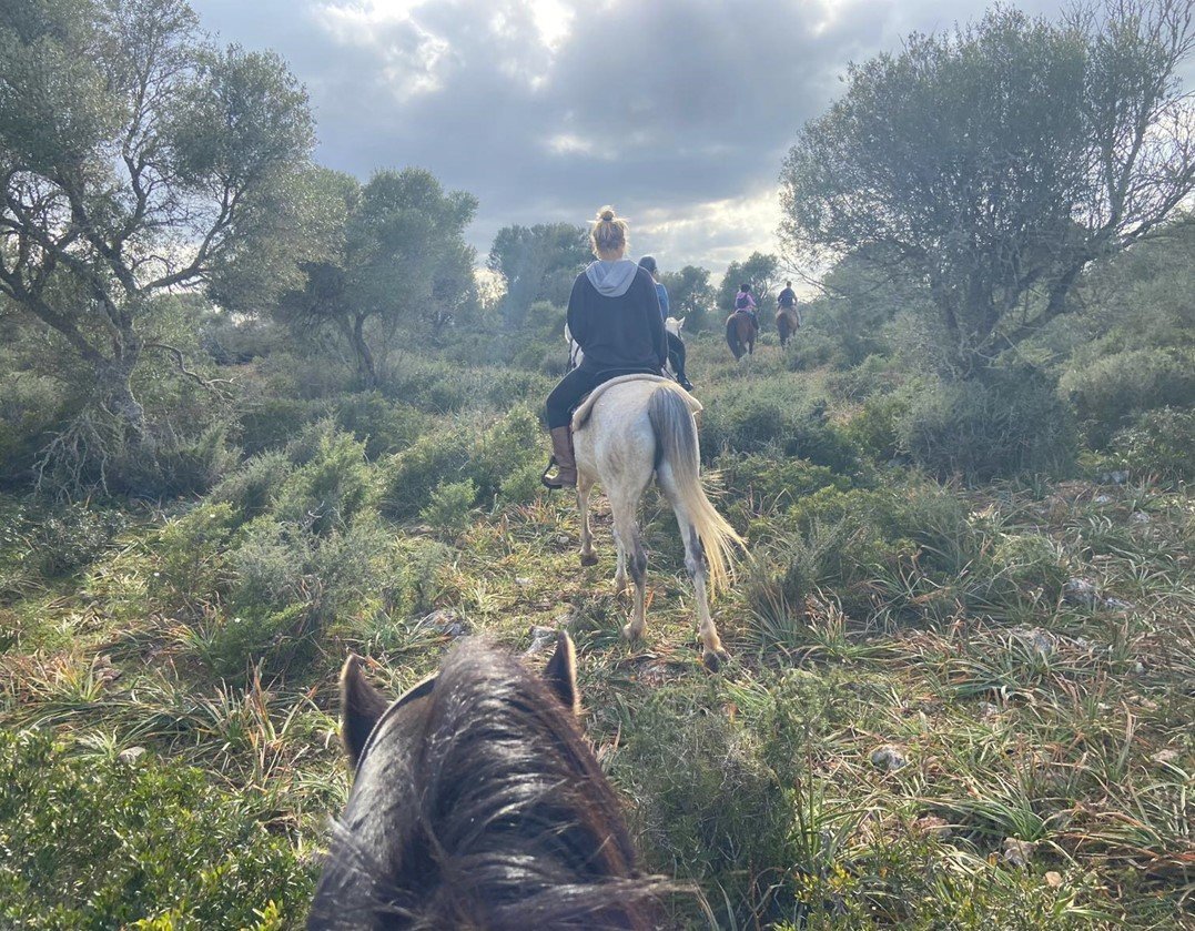 horse riding excursion in mallorca