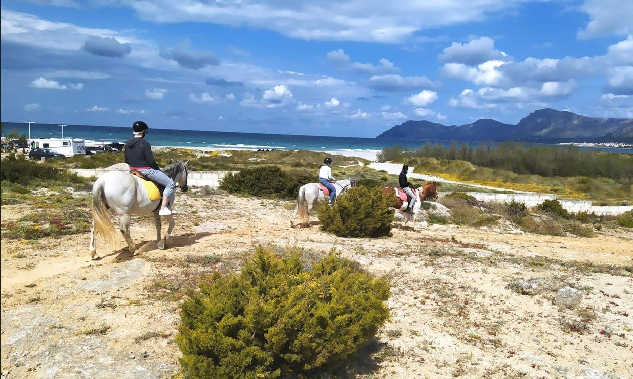 landscape of Son Serra