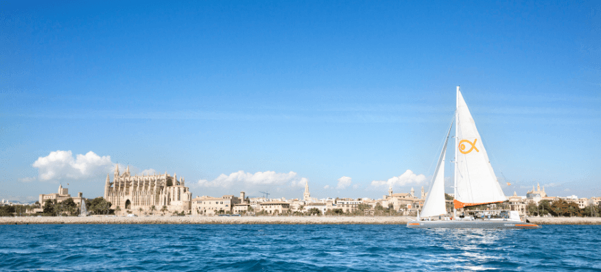 catamaran in palma de mallorca
