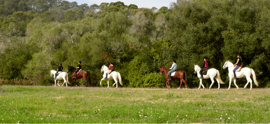 horse riding excursion