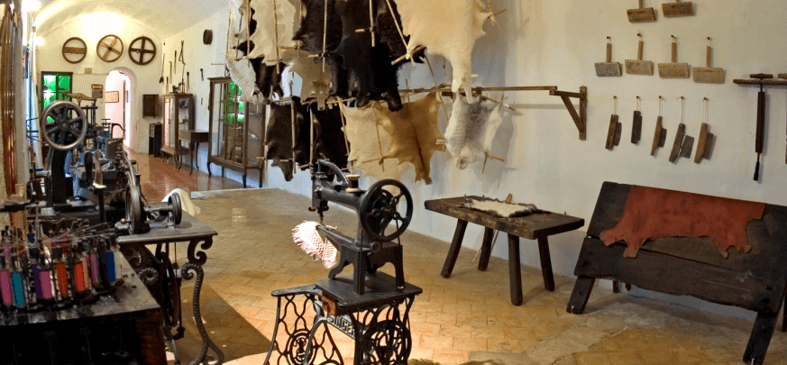 activities in Mallorca