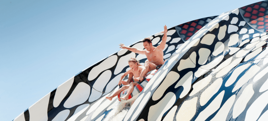 new attraction: the cobra