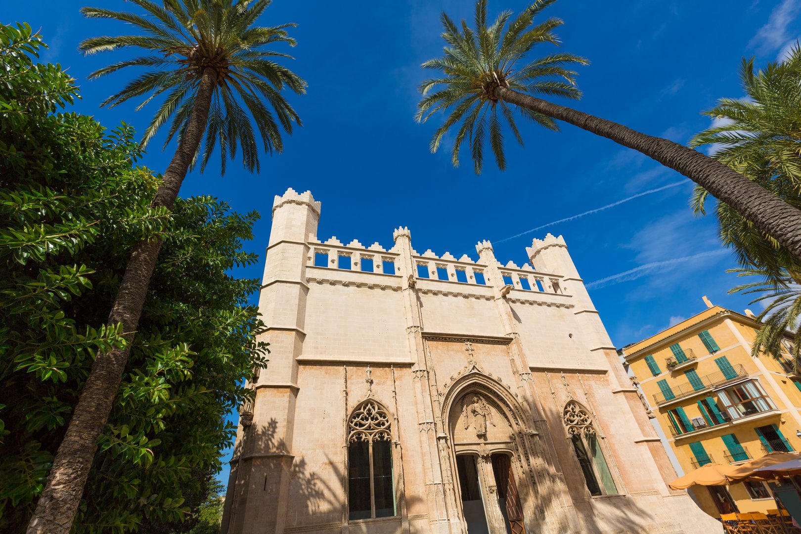 guided tour in Palma de Mallorca