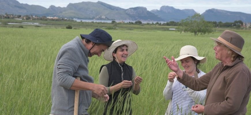 cosas que hacer en mallorca diferentes