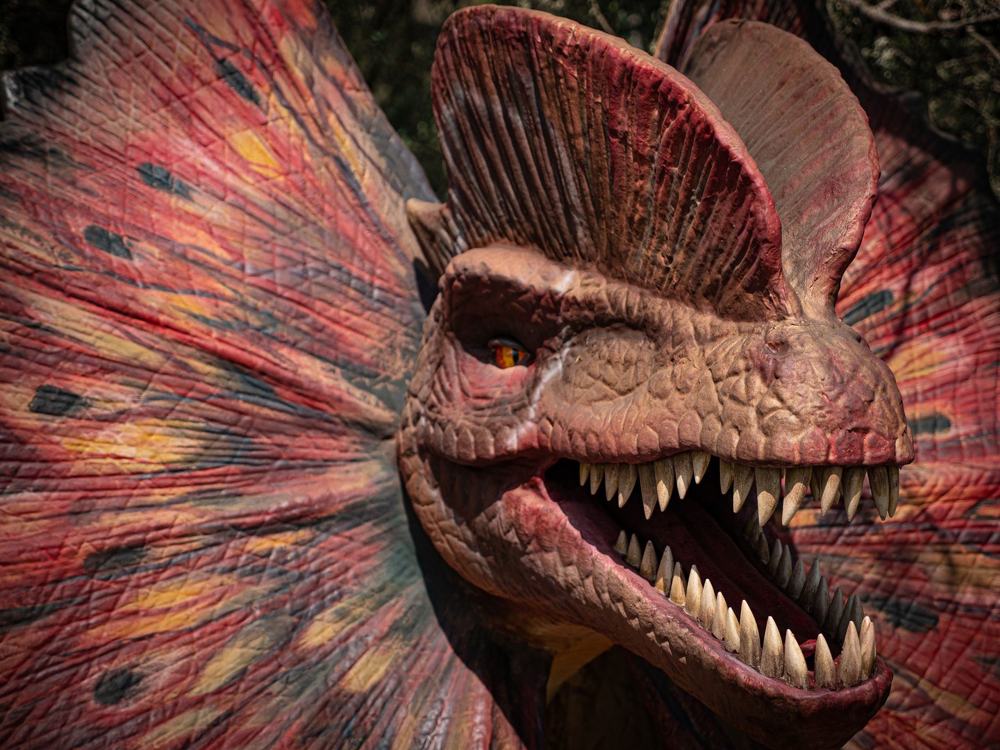 angry dinosaur