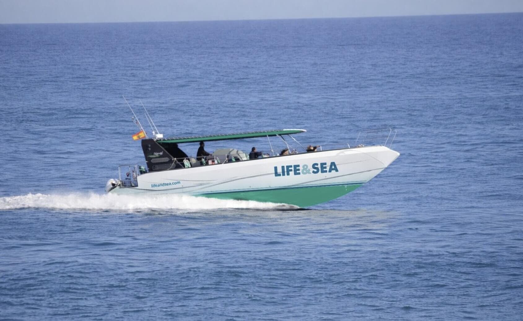 Sailing dolphin boat excursion in Palma de Mallorca with views of the bay and the Mediterranean Sea