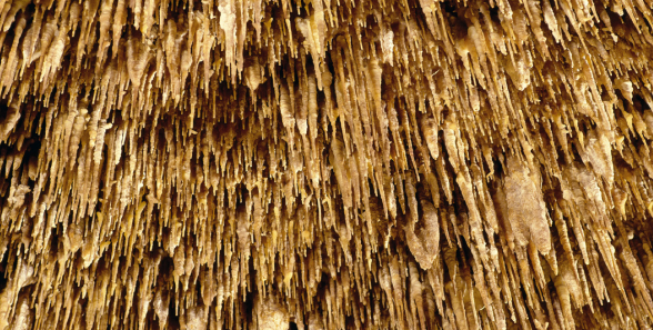 stalactite Cave of Drach