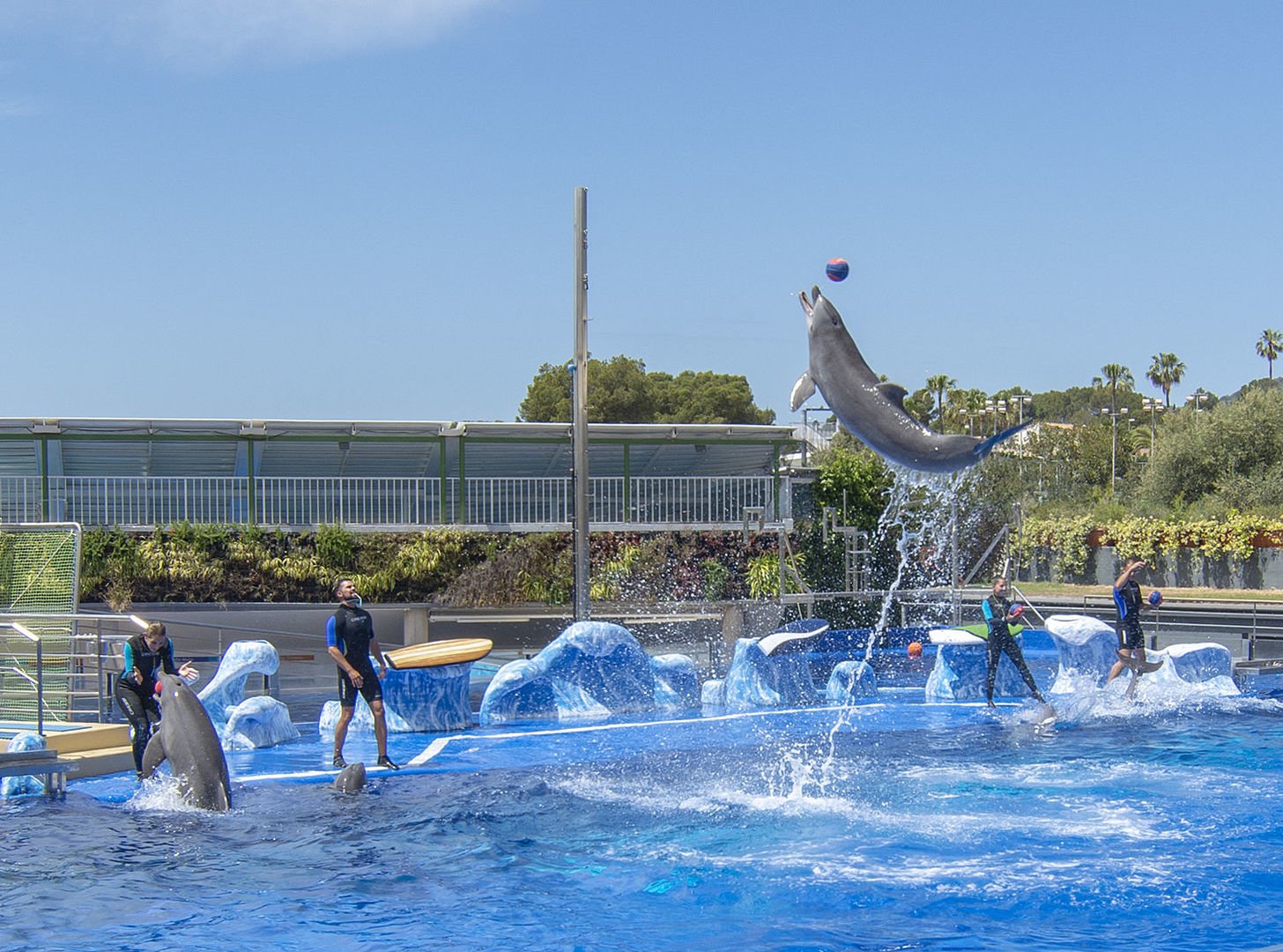 Marineland Mallorca. Ticket with 10 discount and skip the line