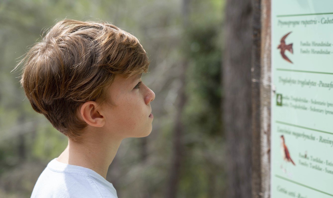 peacock in la reserva