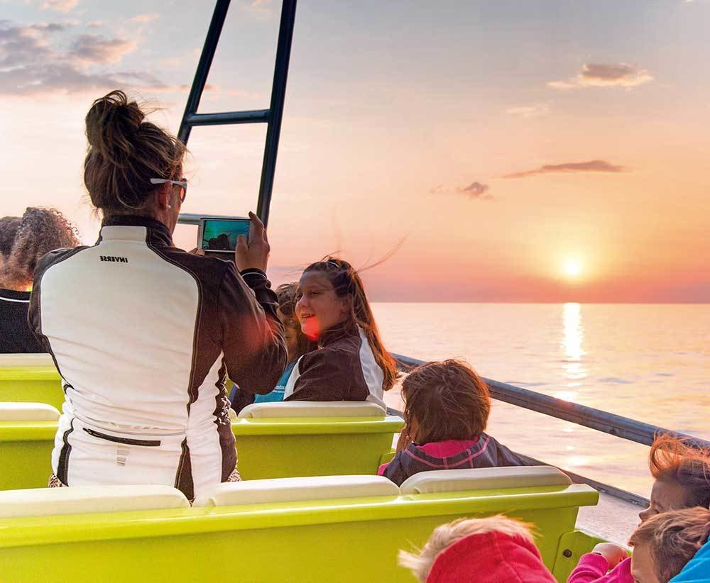 mallorca dolphin tour