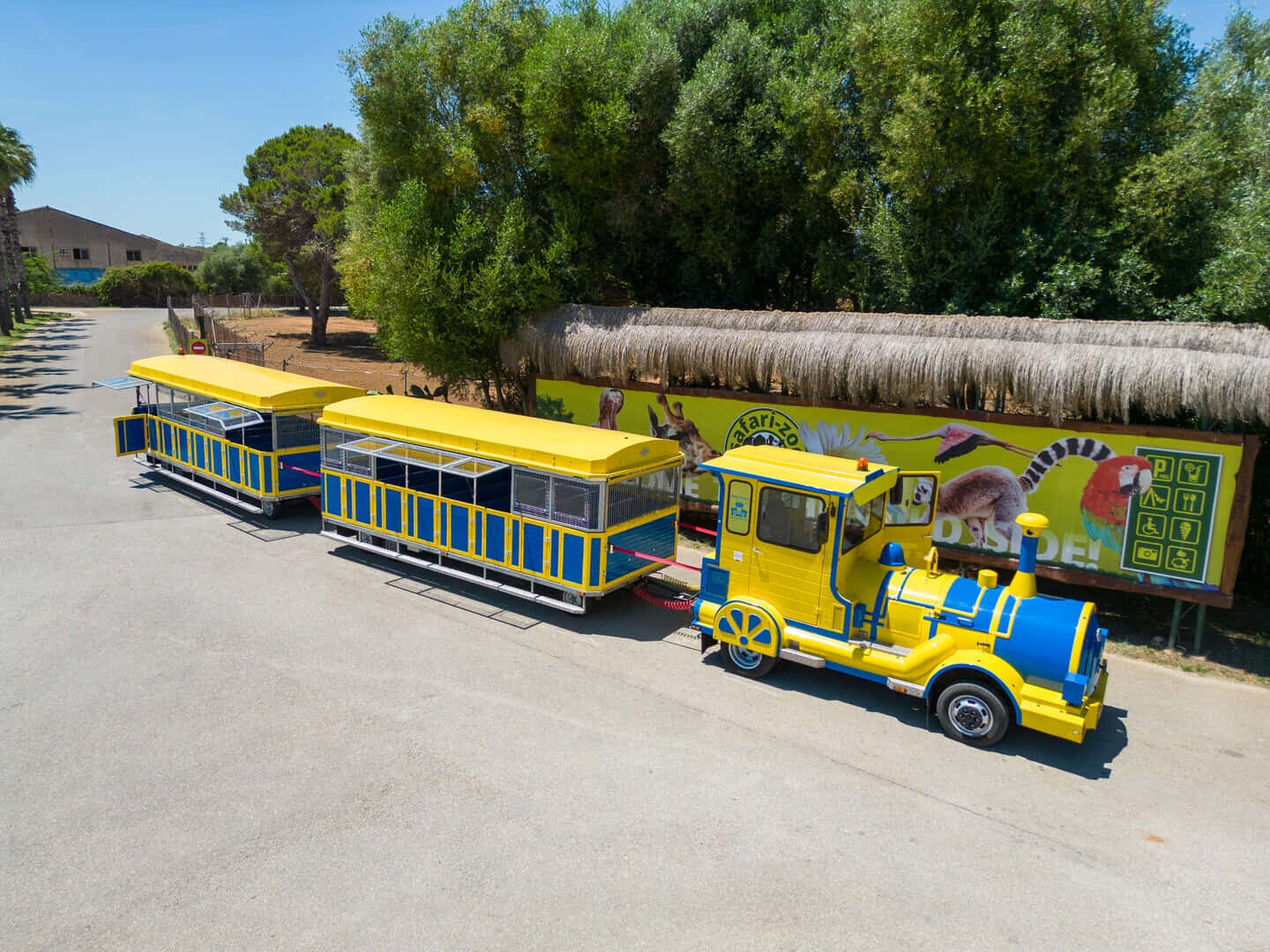 safari train