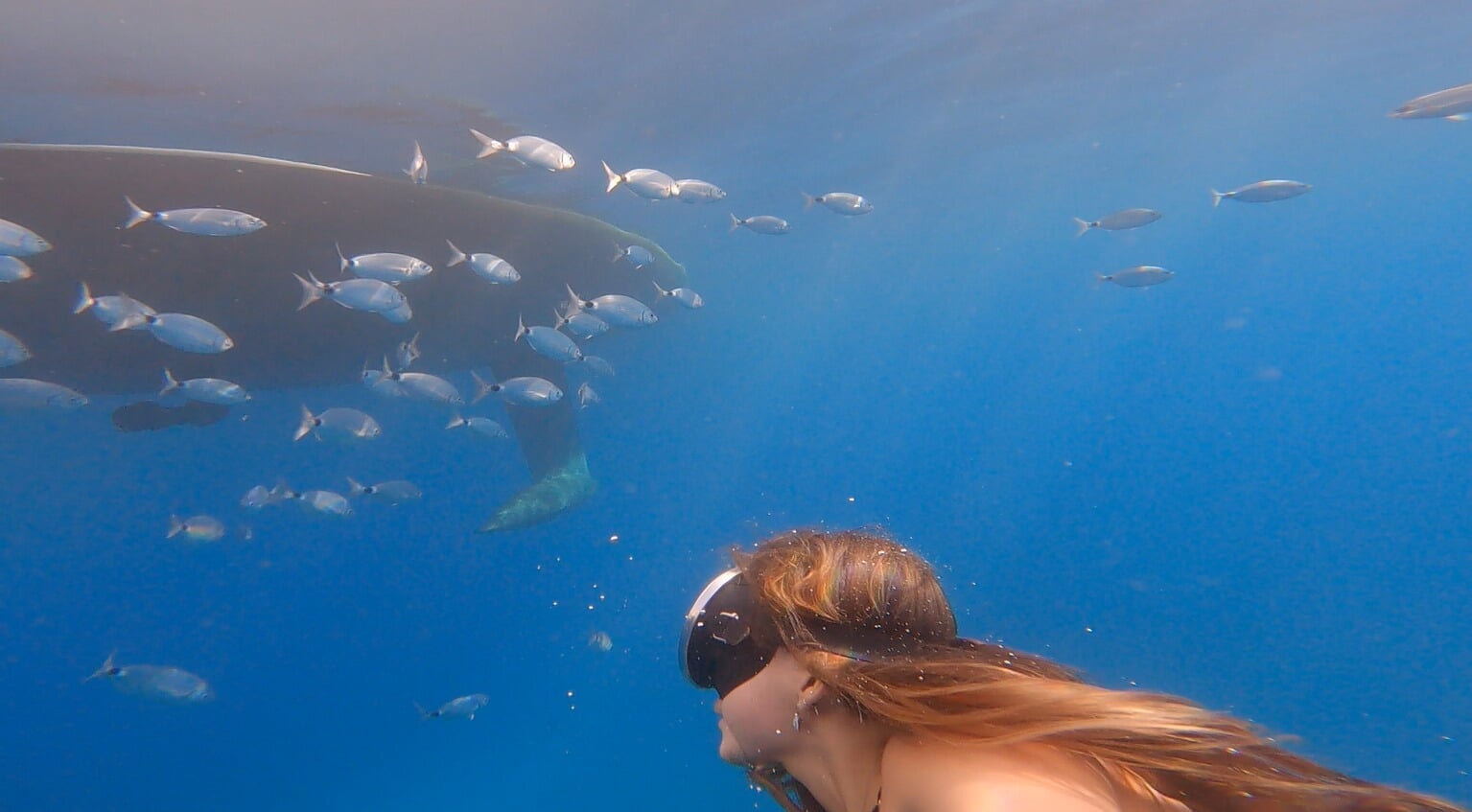 snorkeling