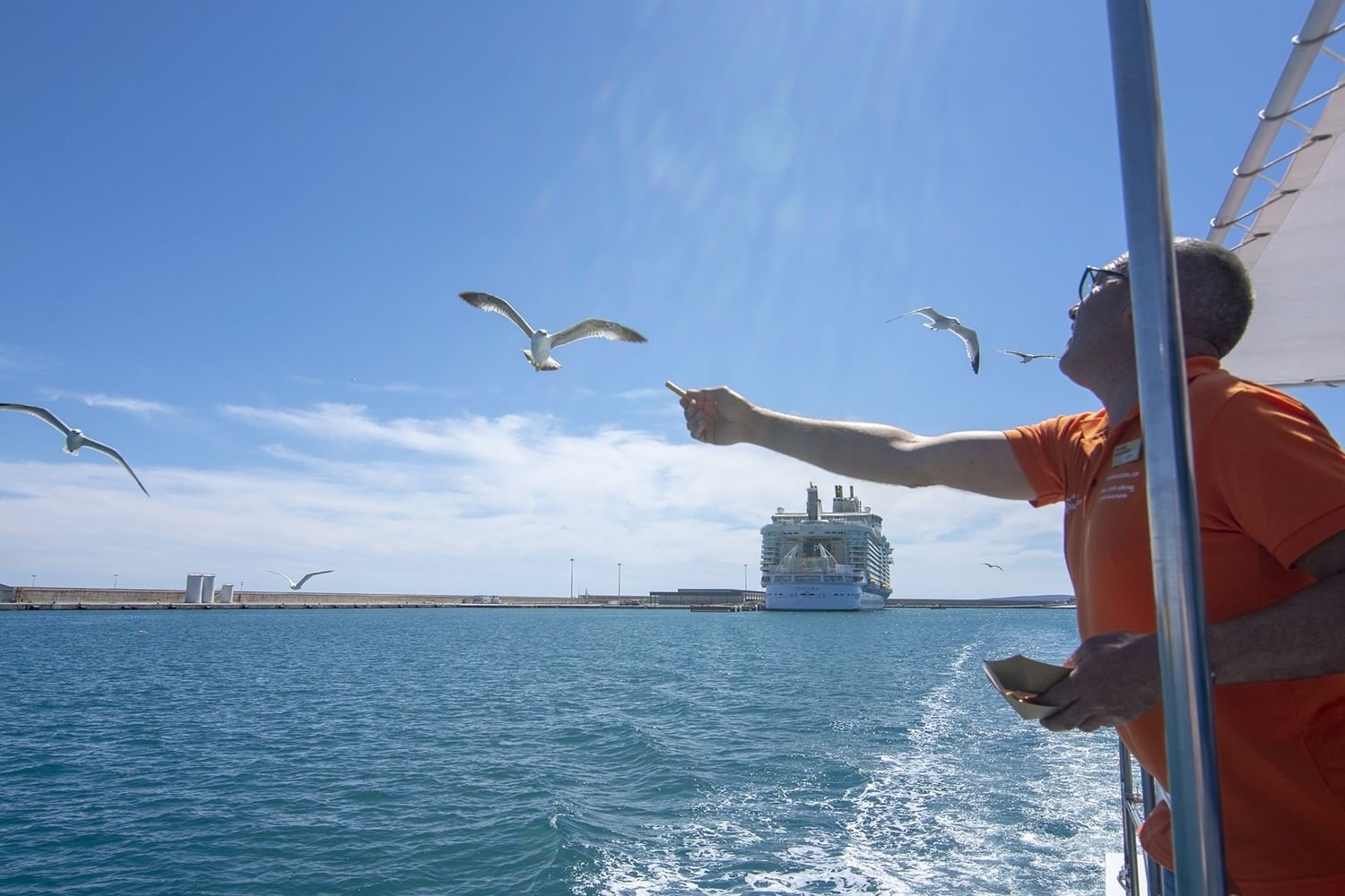 cruise area in the port of palma