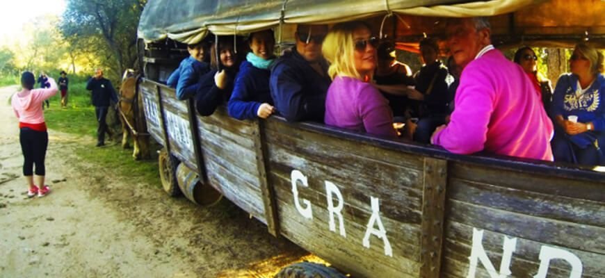 excursion on the wagon