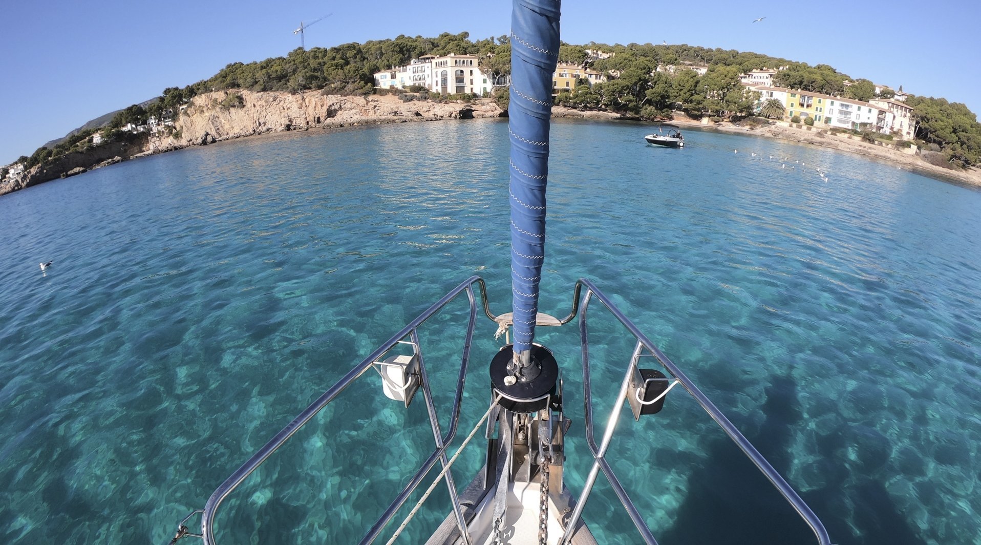 the sail
