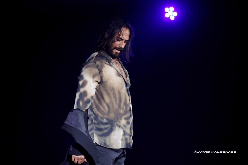 show flamenco mallorca