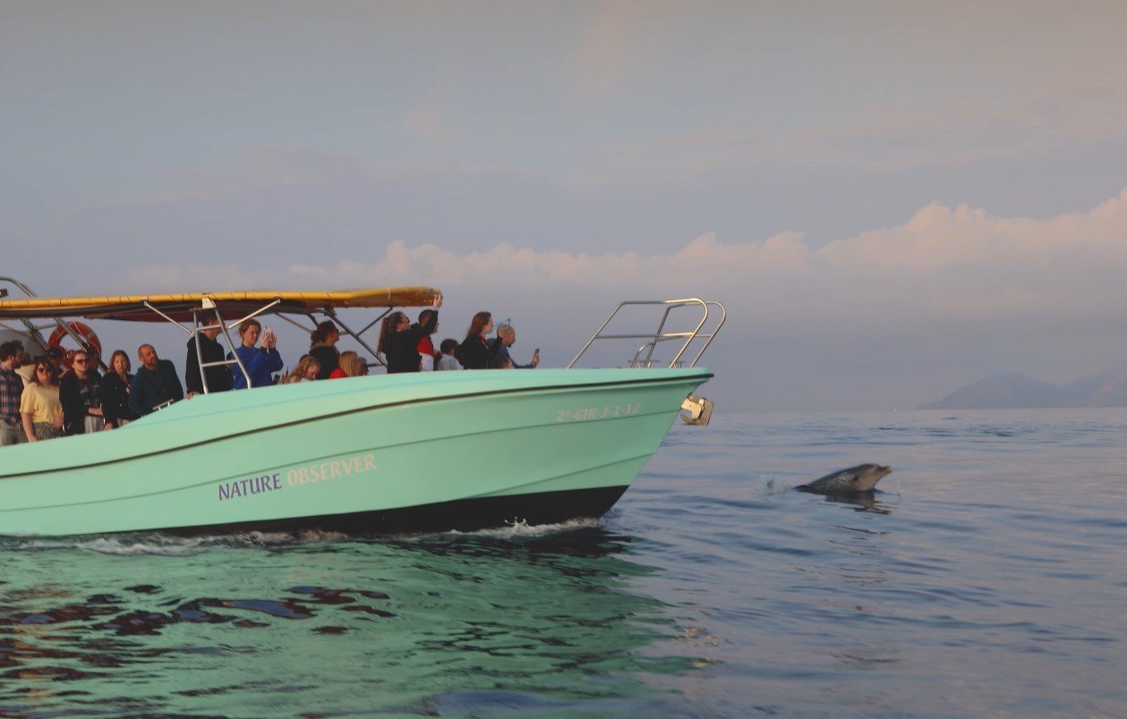 sunrise with dolphins