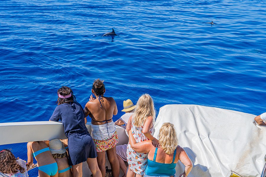 people on the starfish mallorca