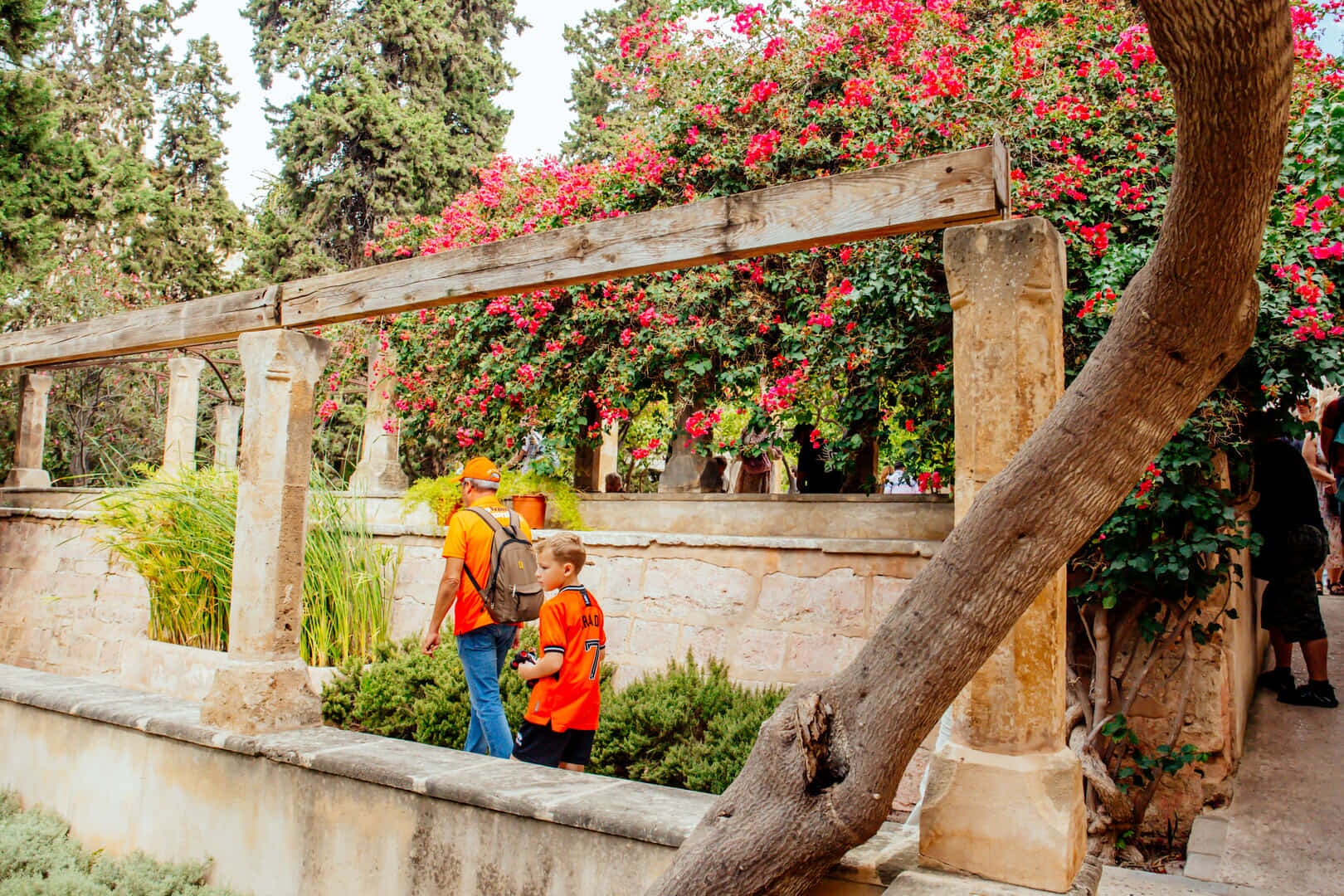 garden