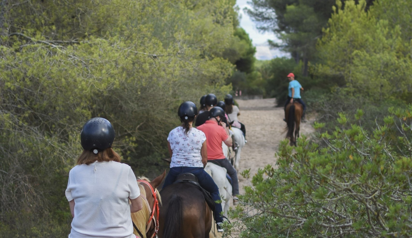 path followed on the horse ride