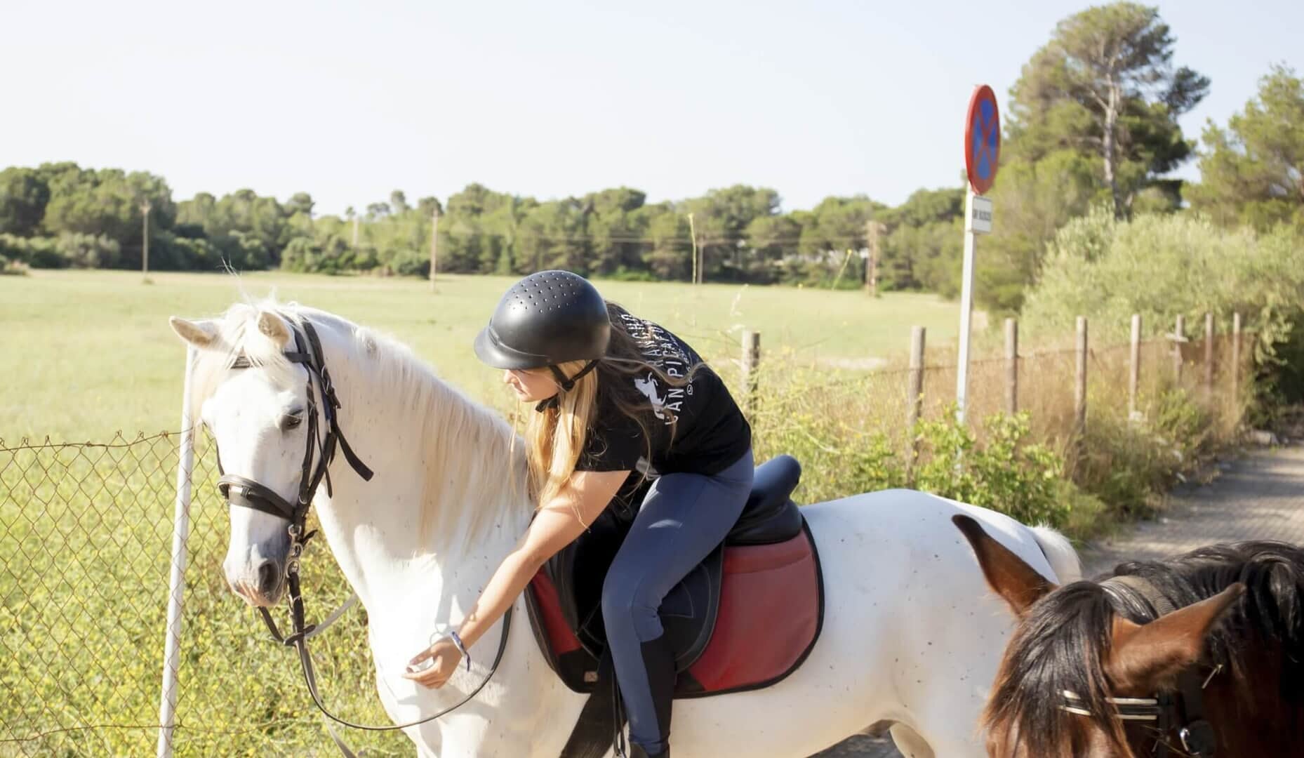 White horse being gently petted during a horseback riding excursion in Mallorca